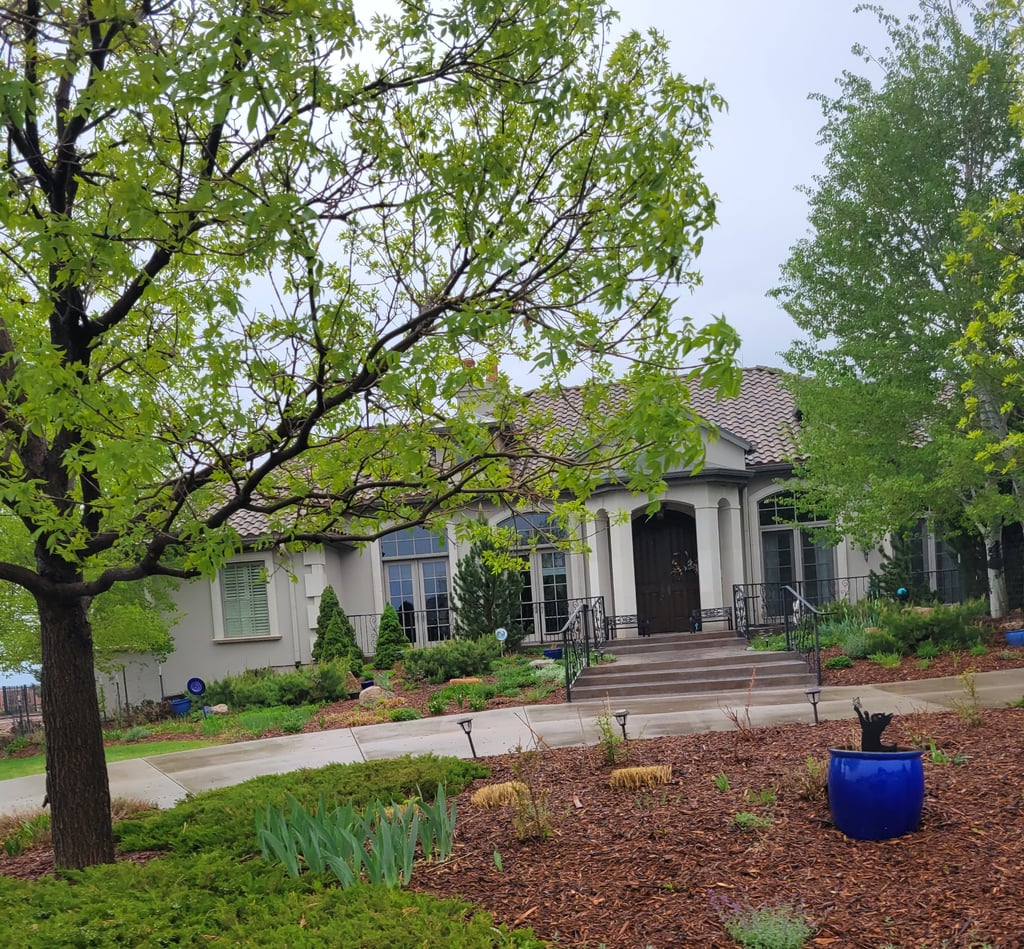 Carpet Cleaning in Monument, Colorado Springs, Parker, Glen Eagle, Fountain, 