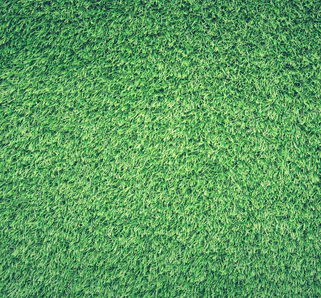 turf