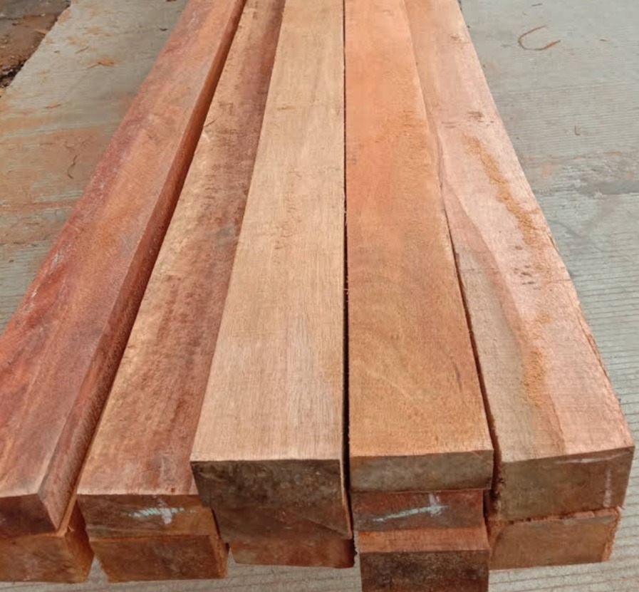kayu balok meranti merah