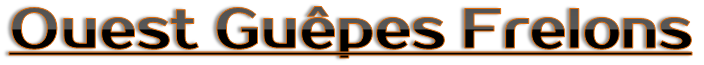 le logo ouest guêpes frelons