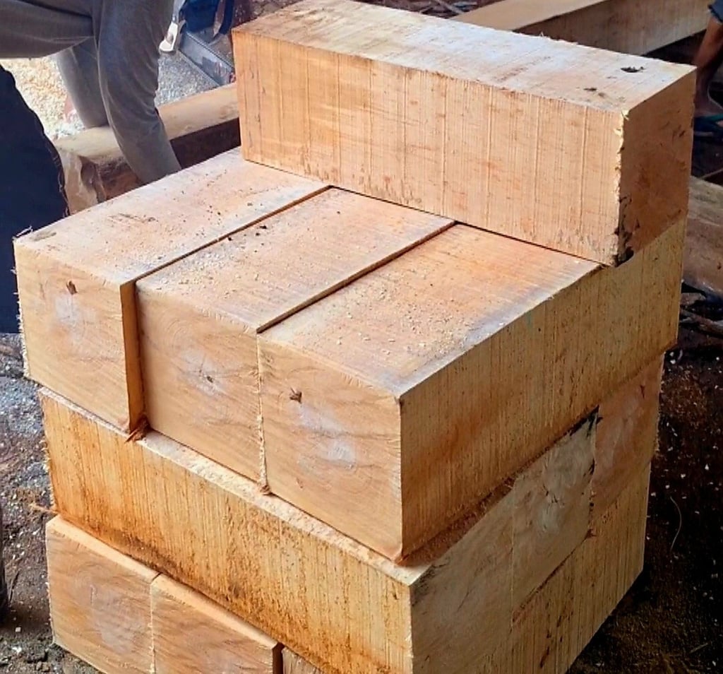 Kami adalah distributor dan penyedia kayu konstruksi terkemuka yang berfokus pada pemenuhan kebutuha