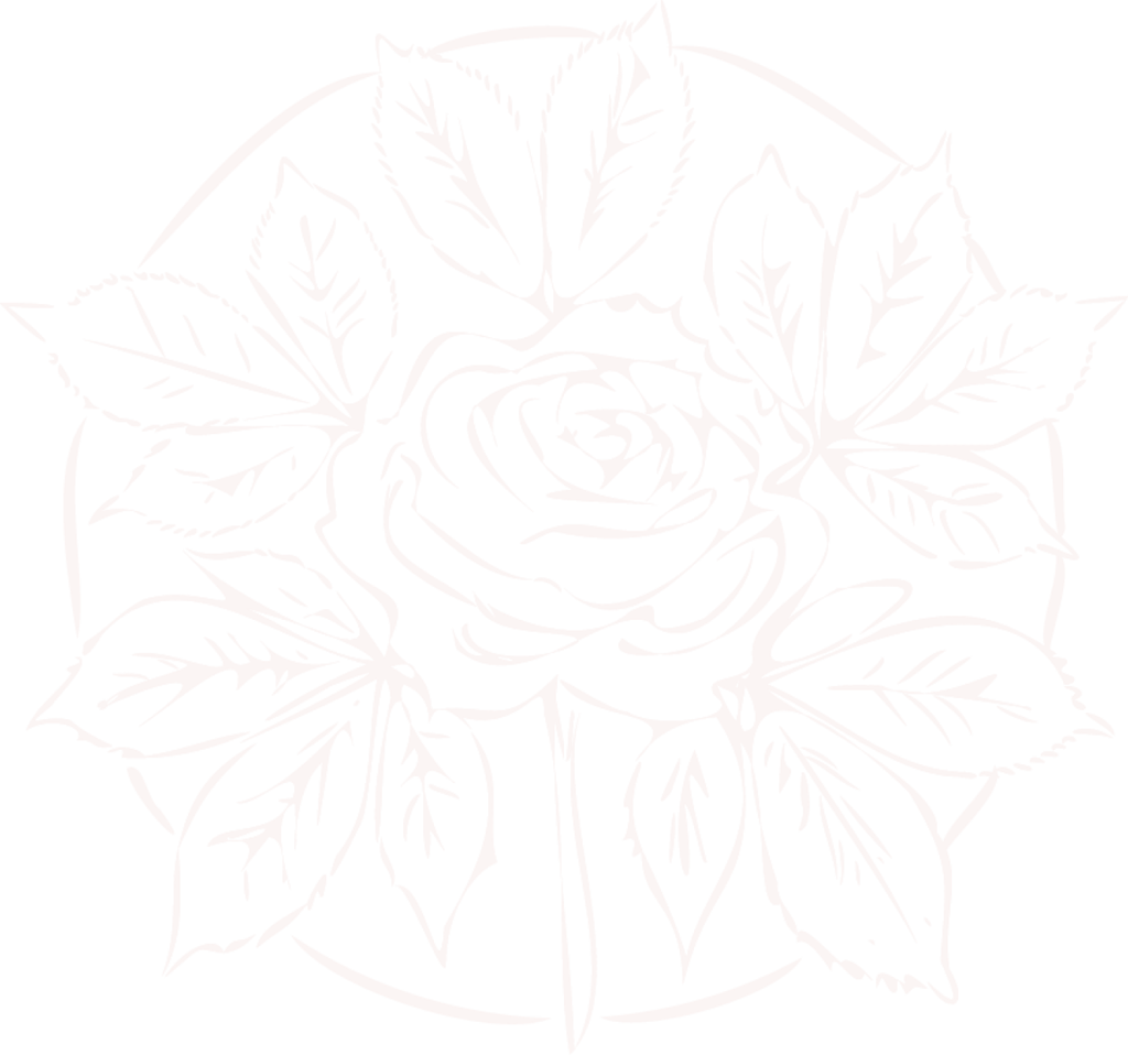 Hand-drawn illustration of a rose with chestnut petals