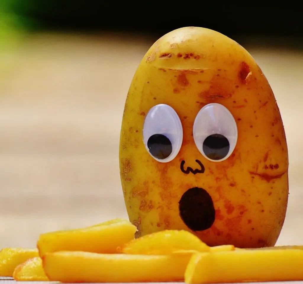 Humour. Une pomme de terre finissant en frite.