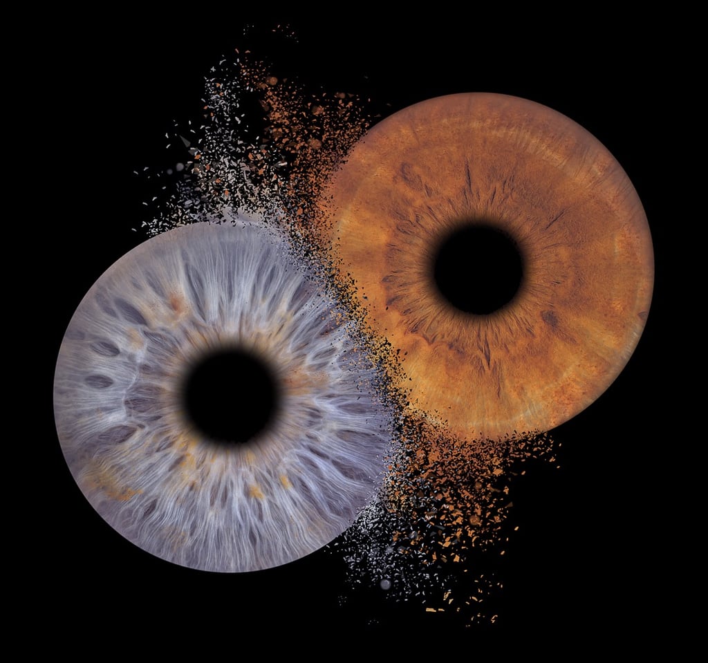 photo iris couple bordeaux