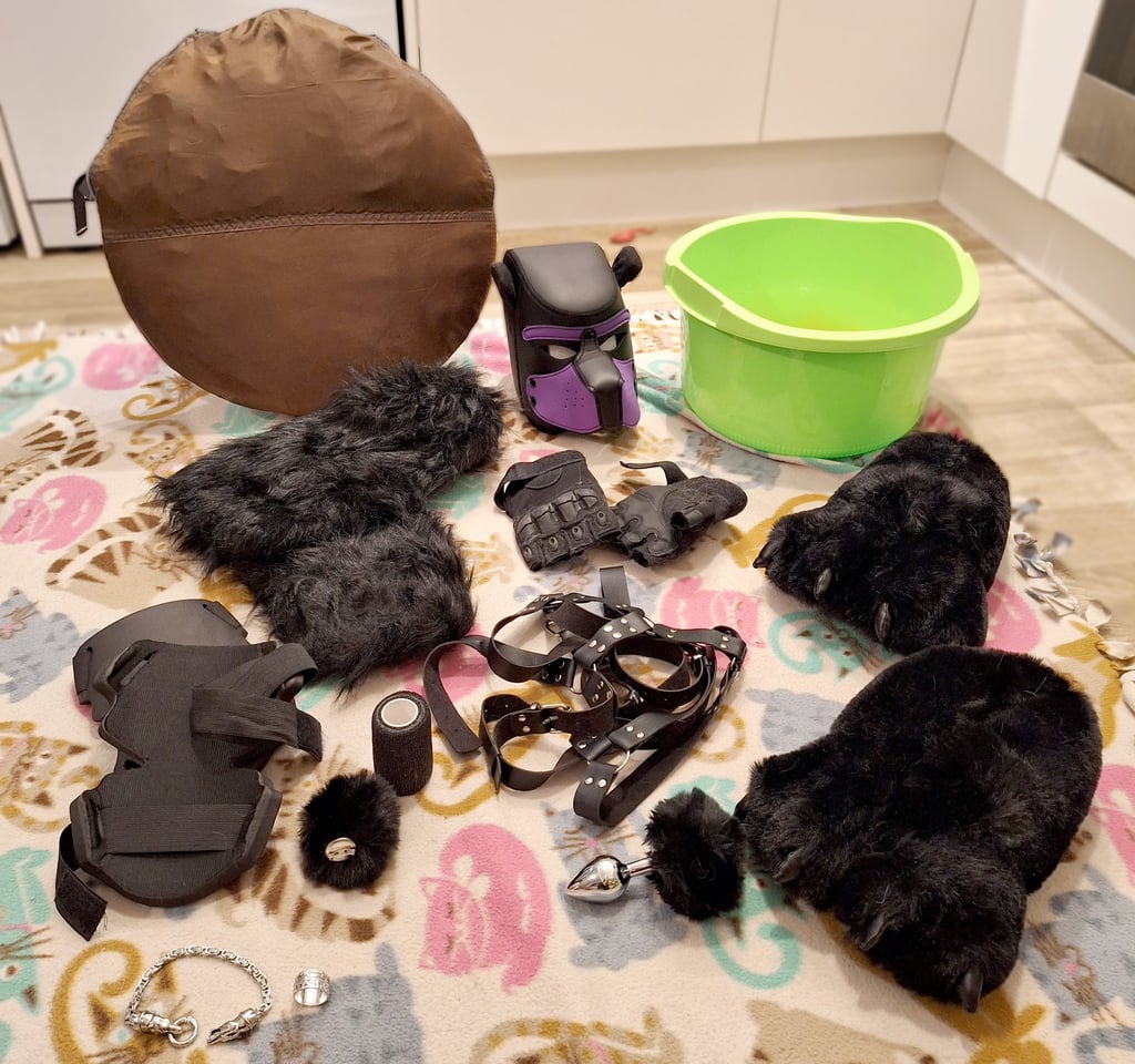Bear pet play hood and gear.