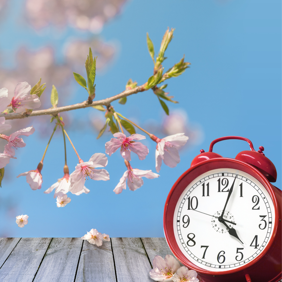 Foto-con-fiori-di-pesco-e-sveglia-ora-legale-jpg