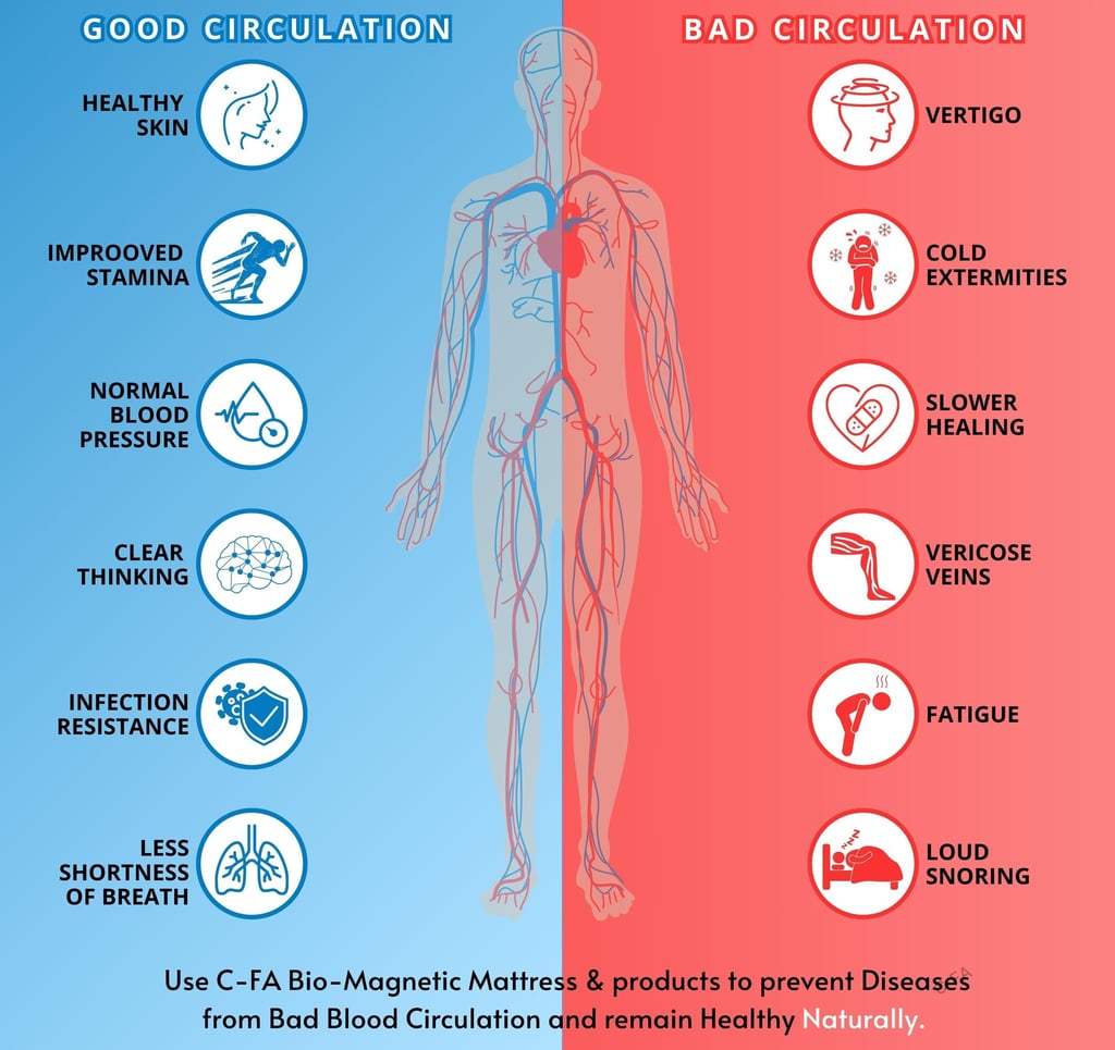 diagram representation of human body showing pros & cons of good vs bad blood circulation in the bod