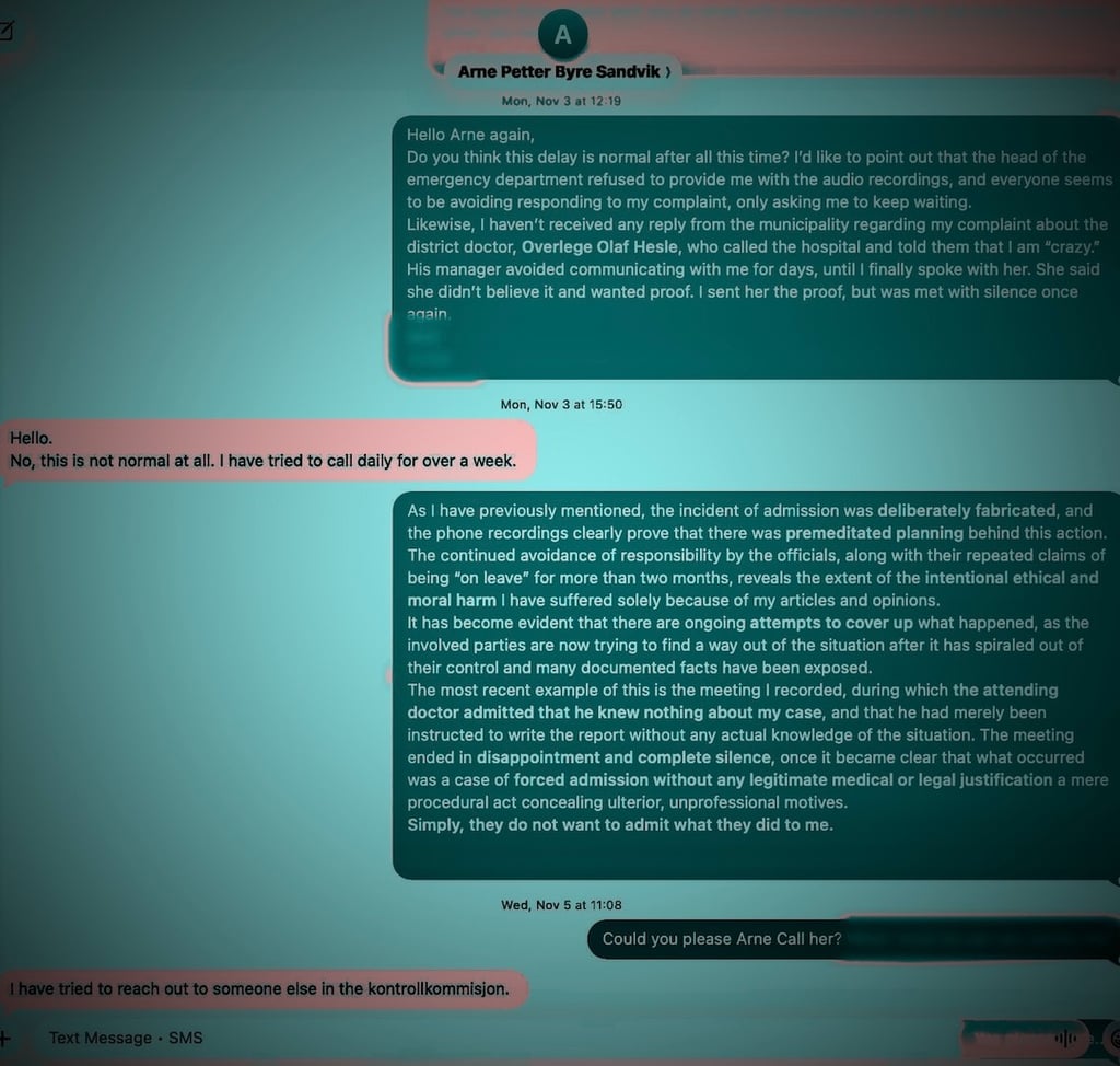 Arne Petter Byre Sandvik,Elizabeth Grøndal, Kontrollkommisjon, Oslo kommune,