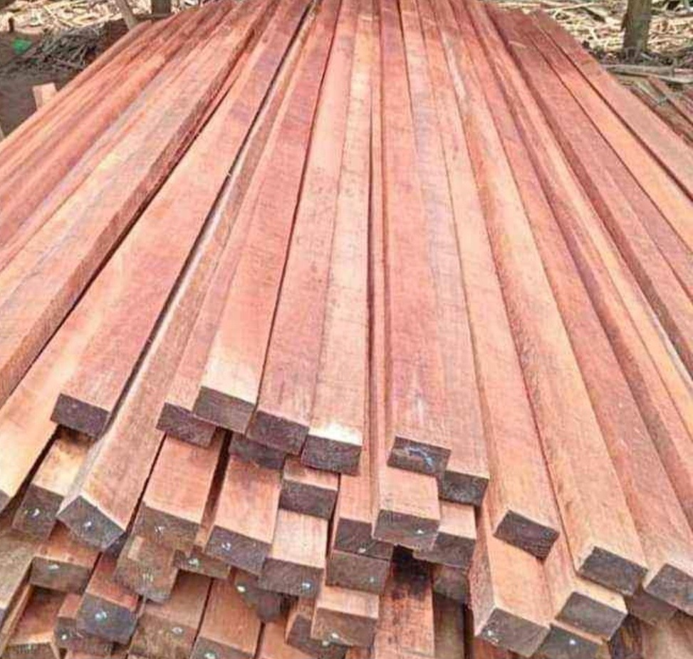 Kayu Kaso Meranti untuk Konstruksi