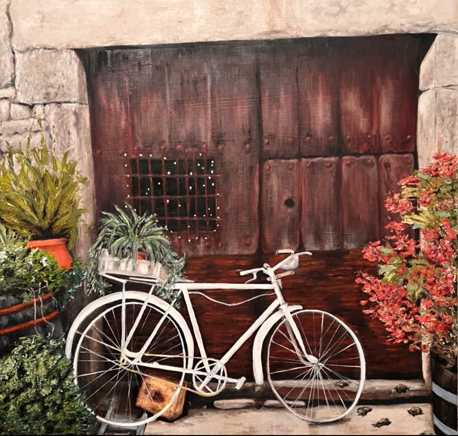 A typical front door of a house in Mogarraz. An old bike and flowers