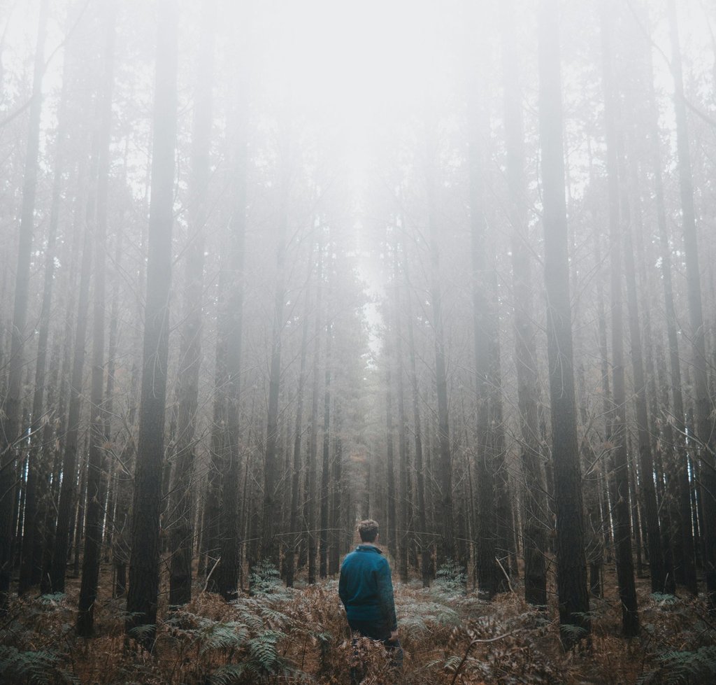 Lone person walking in foggy forest, evoking survival mindset, isolation, and nature awareness
