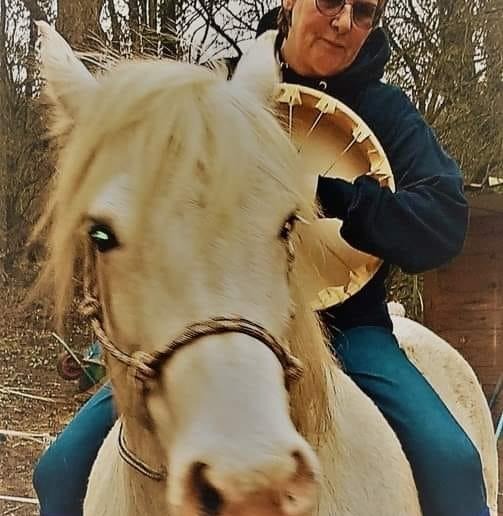 Shaman Horse