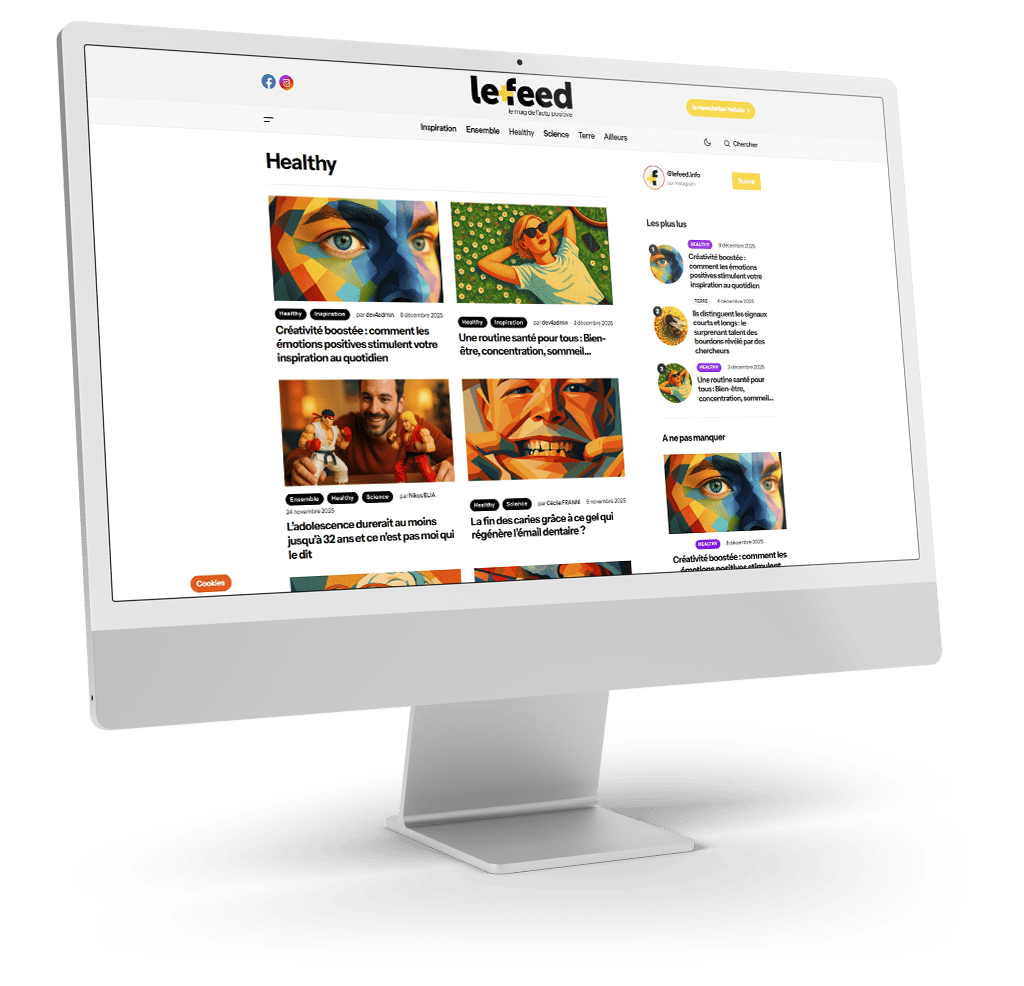 Création et maintenance du site Le Feed