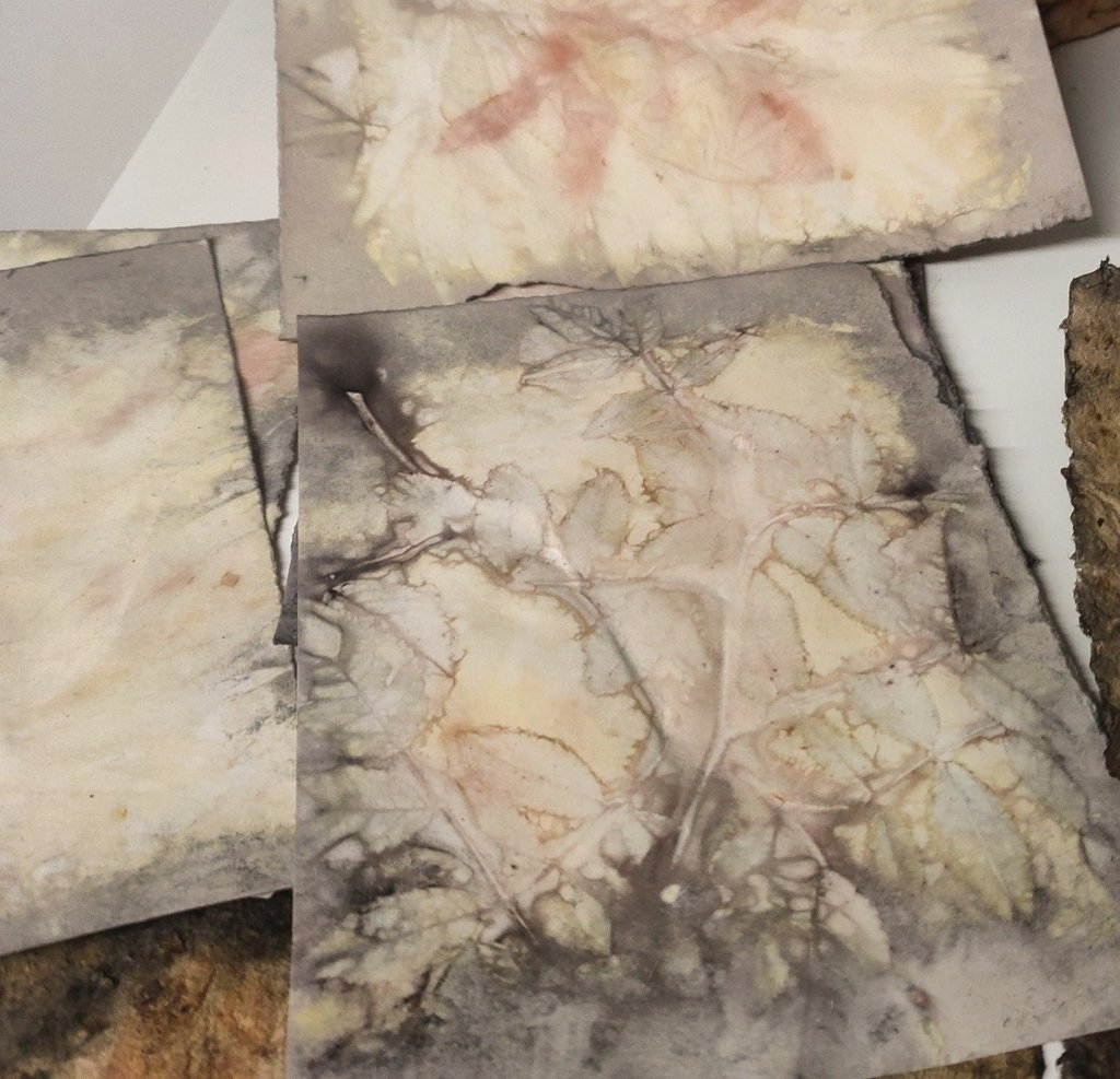 eco printing on paper