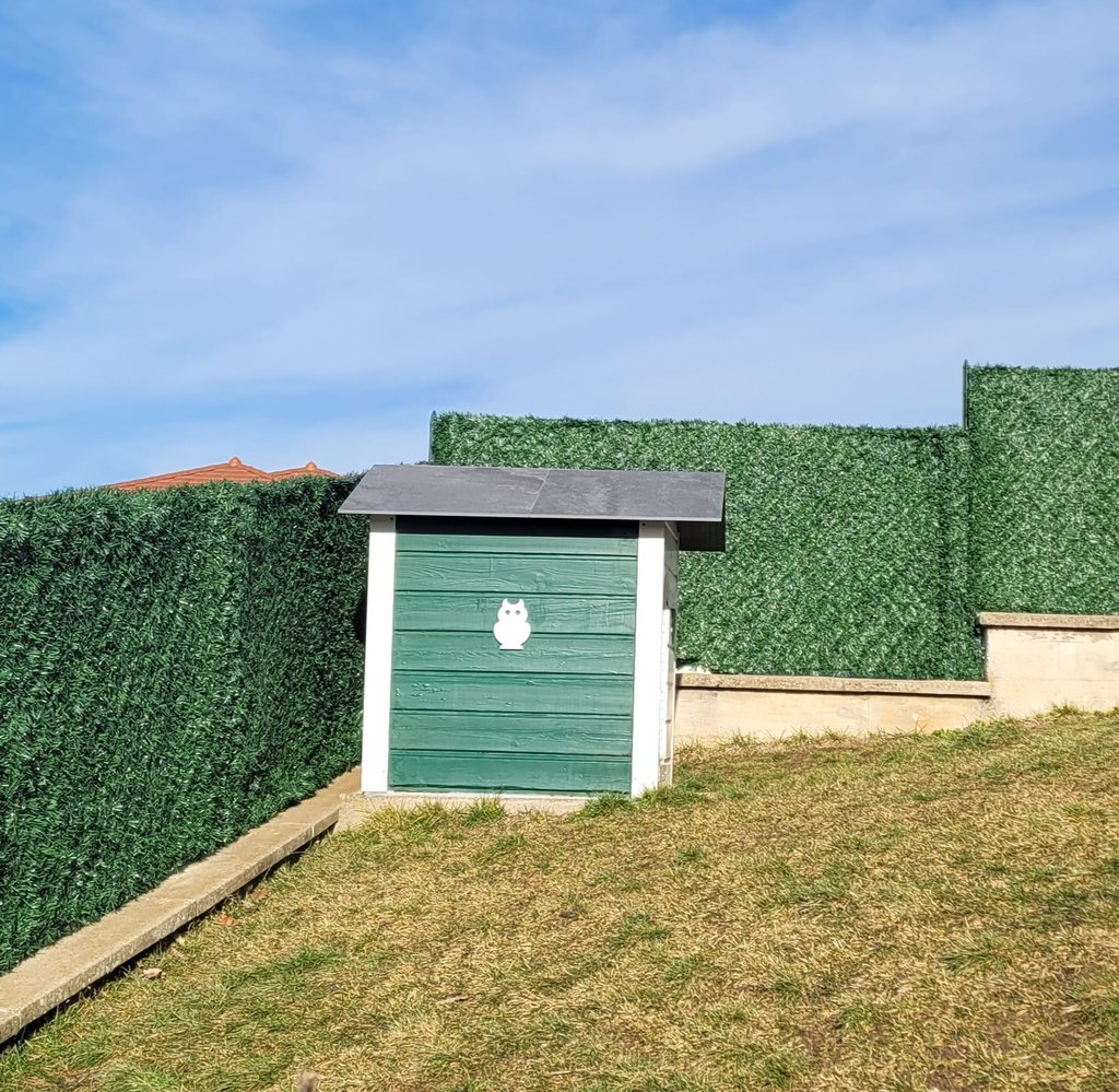 Niche des Diamants Noirs d'Also