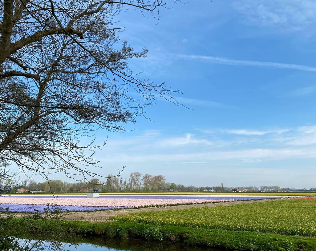 Keukenhof Gardens