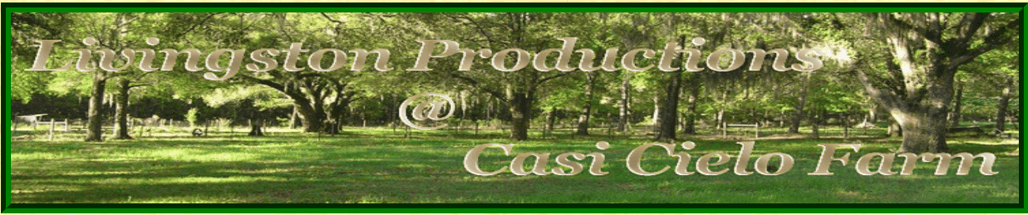 casi cielo header