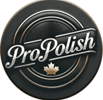 ProPolish detailing and protecting bikes in norfolk county
