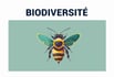 PESTICIDES BIODIVERSITÉ EXTINCTION DE MASSE
