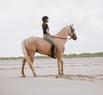 couple cavalier cheval plage