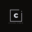 Construction y acustica logo