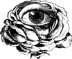 Studio Contrafuerte logo