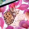 NAMOOSHKA Bengal cats art print