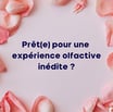 pétales de rose évoquant une expérience olfactive inédite et la délicatesse des essences naturelles