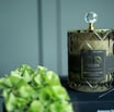 a candle with a glass candle holder and a plant