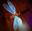 amber dragonfly sitting on a table with blue light wings