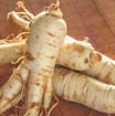 Panax Ginseng
