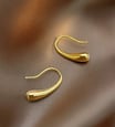 Hook Earrings