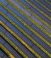 Energieadviseur