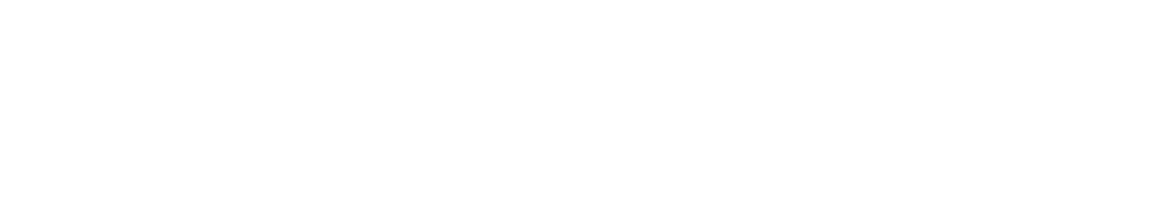 logo Nexovo blanc