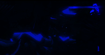 Cinematic animation still - cool tones