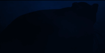 Cinematic frame - jaguar reveal moment