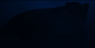 Cinematic frame - jaguar reveal moment