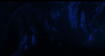 Cinematic frame - jaguar reveal moment