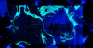 Motion design visual - splash neon green and splash blue backdrop