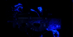 Game animation screenshot -game skin reveal and blue splash reveal