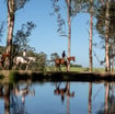 people horse riding on a detox retreat