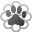 dogAdvisor | dog Advisor | dog advisor | dogadvisor | dogadvisor.dog | dog advisor