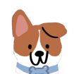 dogAdvisor | dog Advisor | dog advisor | dogadvisor | dogadvisor.dog | dog advisor