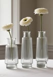 Set of ribbed clear bud vases with one flower each