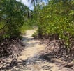 Trilhas, Ilha de Boipeba Praia de Castelhanos Refúgio do Sagrado. Eventos e hospedagem