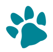 coussinet chien bleu canard
