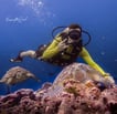 Diver showing awesome sign with two turtles in Gilli Trawangan