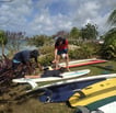 Surfen auf Barbados, Karibik