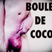Boules de coco | Les Camps de l'Amor | Visuel David Noir
