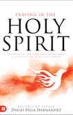 holy spirit book - David Diga Hernandez 